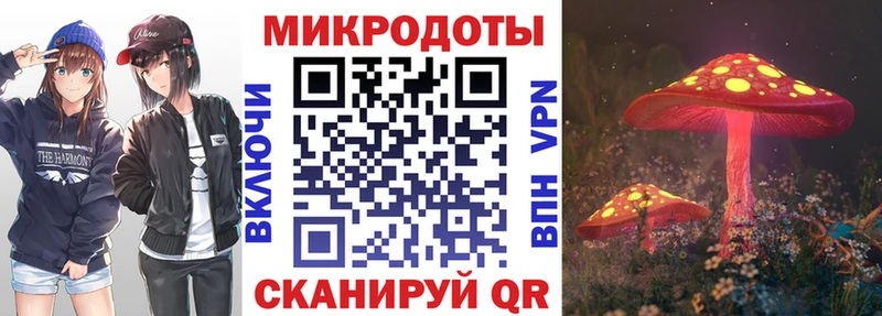 сколько стоит  Москва  дарк нет какой сайт  Галлюциногенные грибы Cubensis 