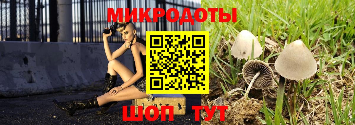 Москва  Псилоцибиновые грибы MAGIC MUSHROOMS  Вход с VPN  Галлюциногенные грибы Magic Shrooms 