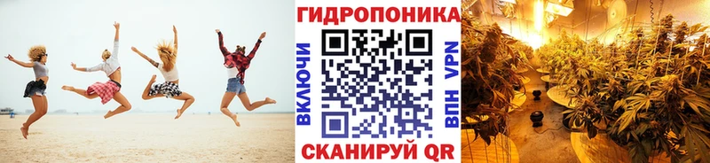 ОМГ ОМГ маркетплейс  цена наркотик  Москва  Бошки Шишки SATIVA & INDICA 